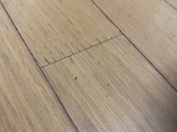 ひび割れ